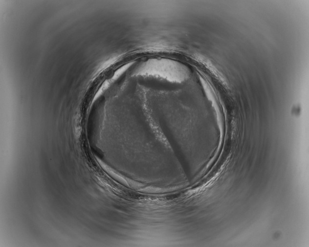 X0000098171213200805080953