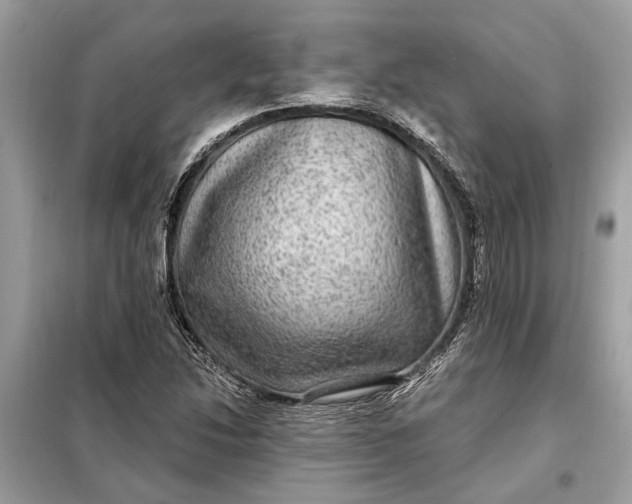 X0000098171214200805080953