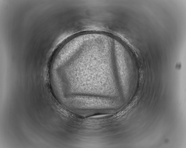 X0000098171215200805080953