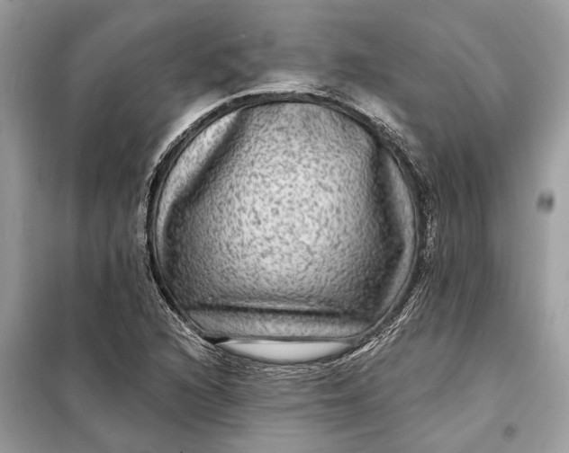 X0000098171216200805080953