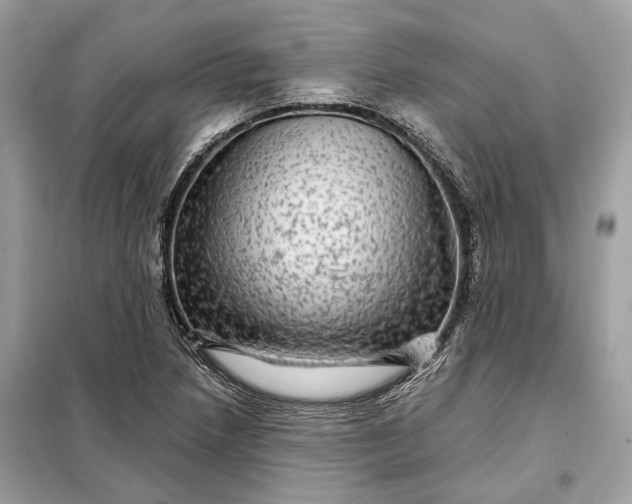 X0000098171218200805080953