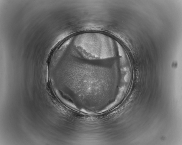 X0000098171219200805080953