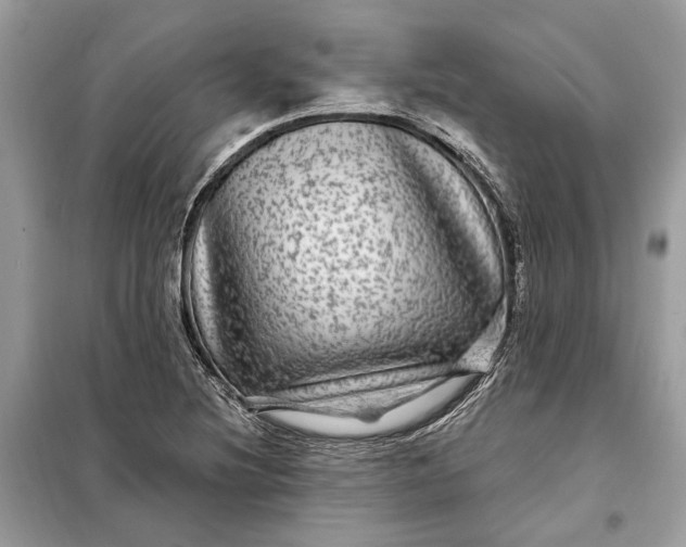 X0000098171220200805080953