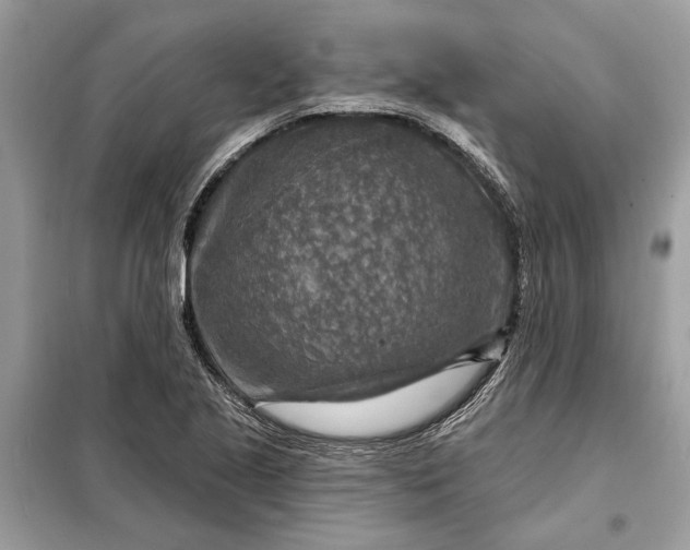 X0000098171221200805080953