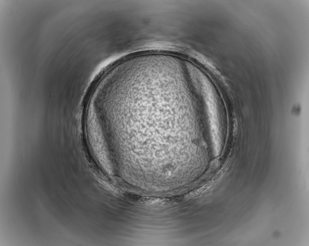 X0000098171222200805080953