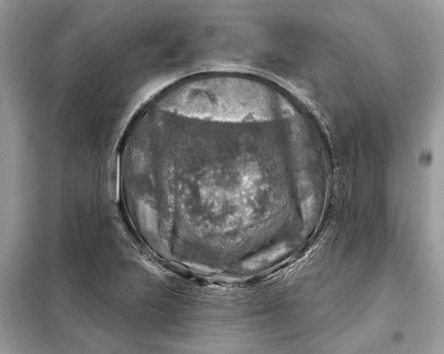 X0000098171223200805080953