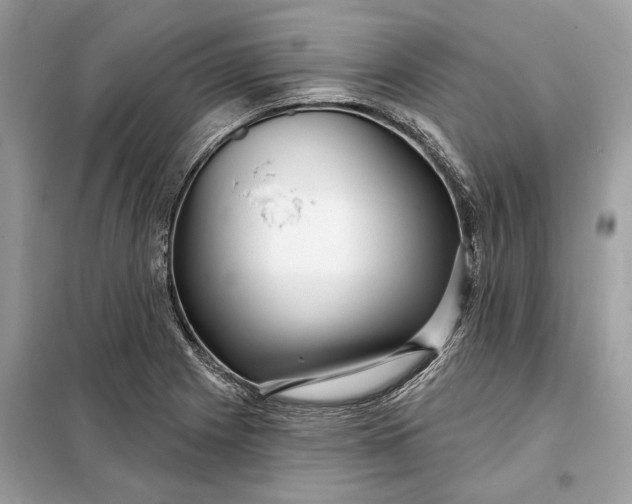 X0000098171225200805080953