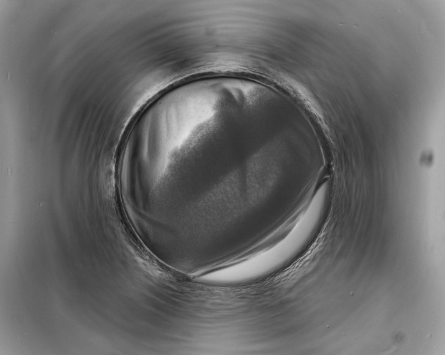 X0000098171226200805080953