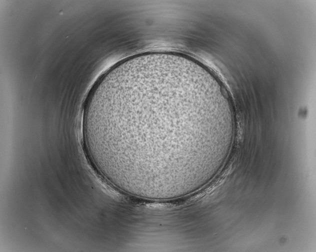 X0000098171227200805080953