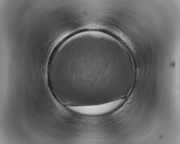 X0000098171229200805080953