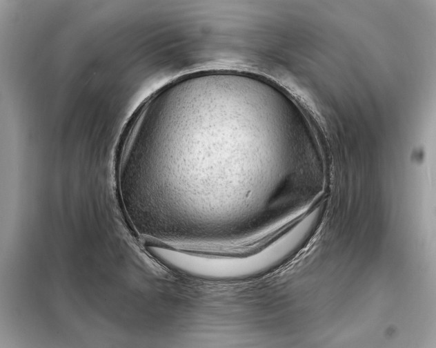 X0000098171230200805080953