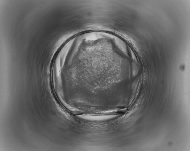 X0000098171231200805080953