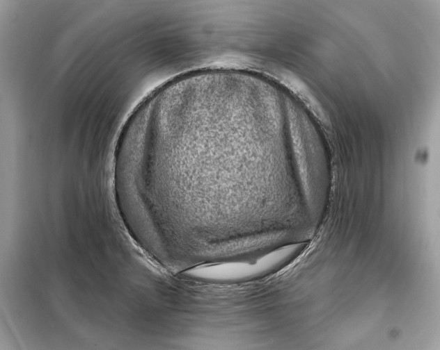 X0000098171232200805080953