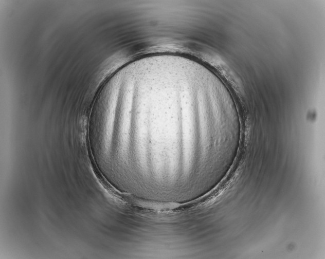 X0000098171233200805080953