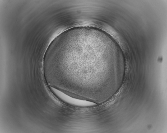 X0000098171234200805080953