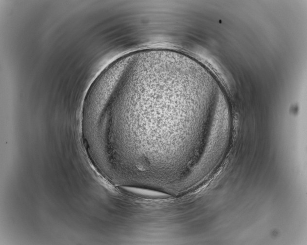 X0000098171236200805080953