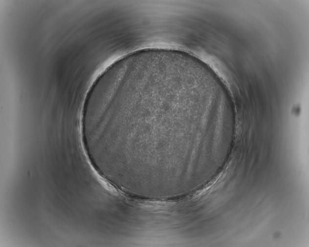 X0000098171237200805080953