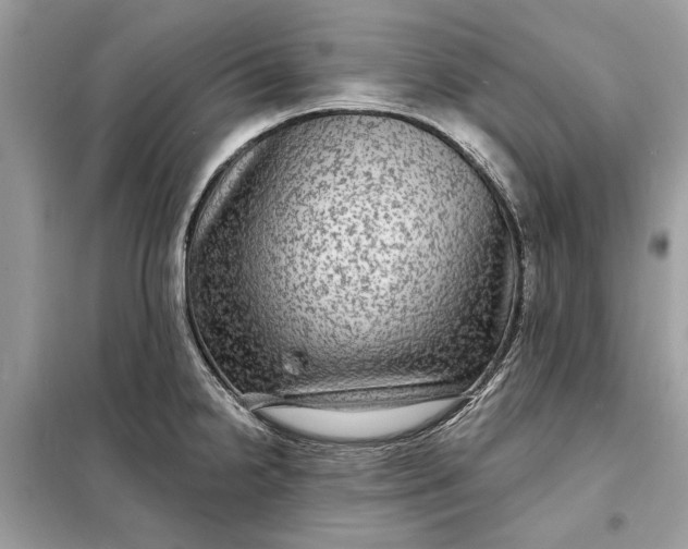 X0000098171238200805080953