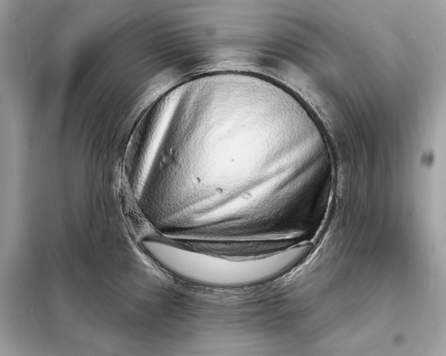 X0000098171241200805080953