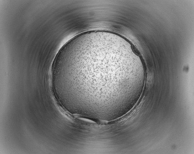 X0000098171242200805080953