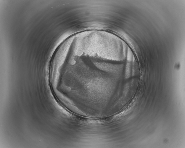 X0000098171243200805080953