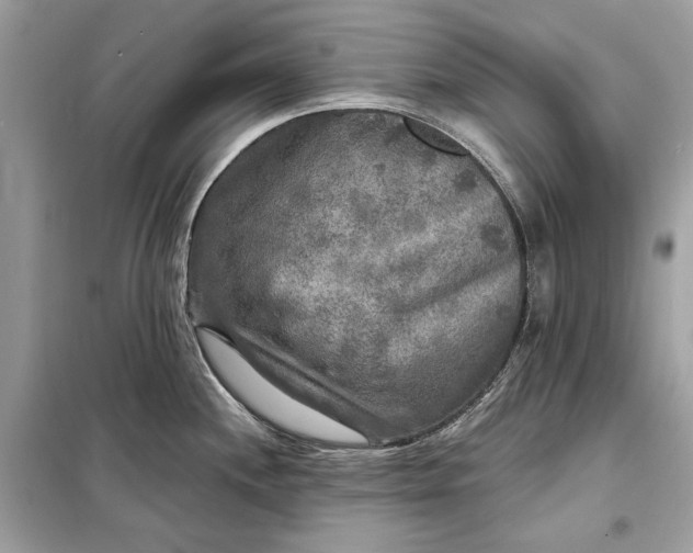 X0000098171244200805080953