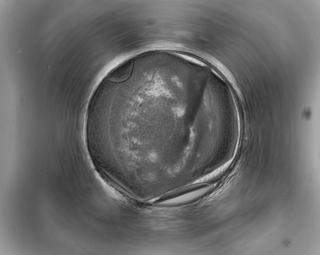 X0000098171245200805080953