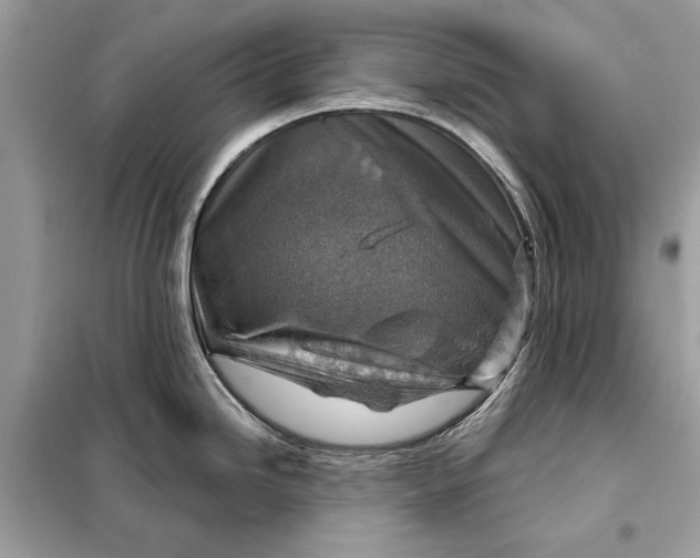 X0000098171246200805080953