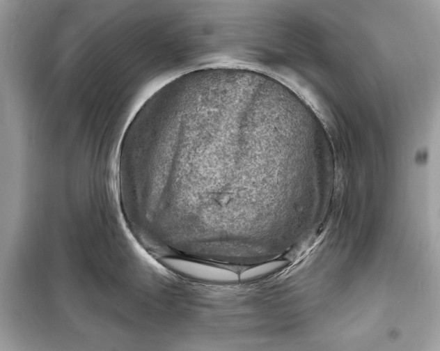 X0000098171247200805080953