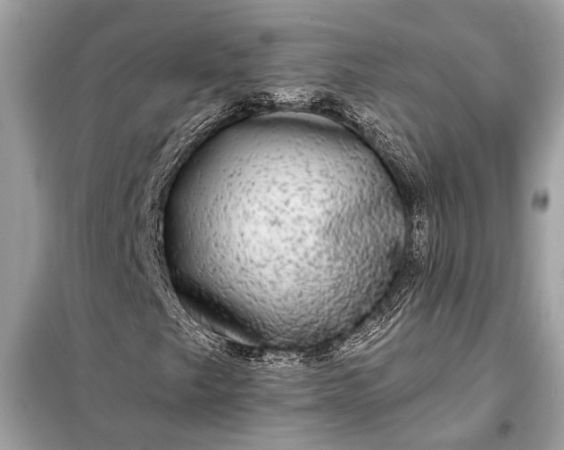 X0000098171249200805080953