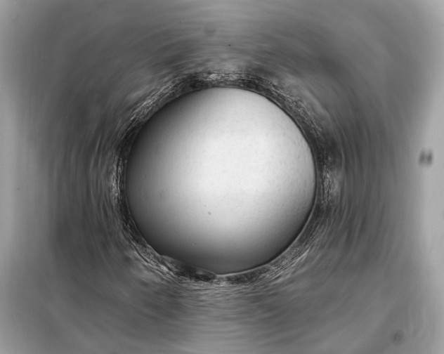 X0000098171250200805080953