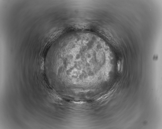 X0000098171251200805080953