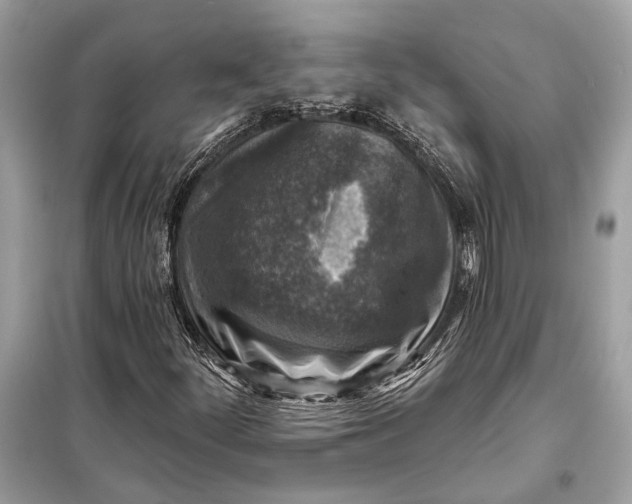 X0000098171252200805080953