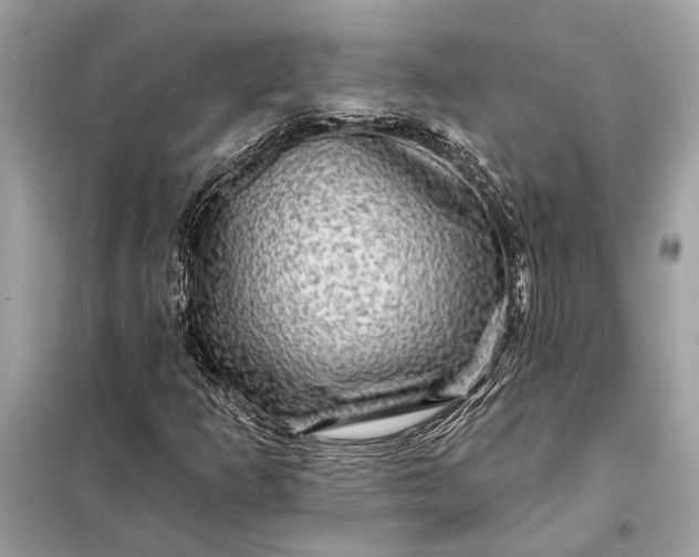 X0000098171253200805080953