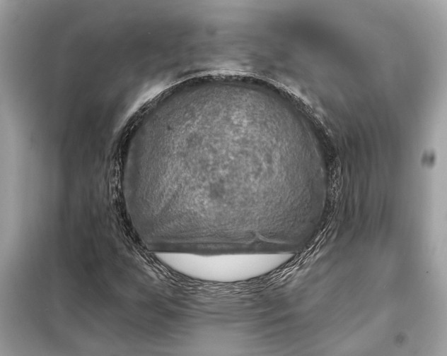 X0000098171255200805080953