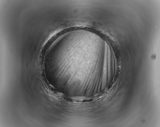 X0000098171256200805080953