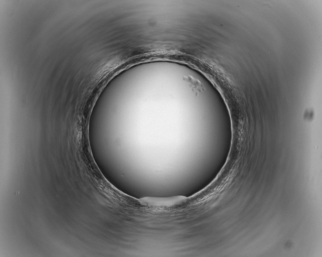 X0000098171257200805080953