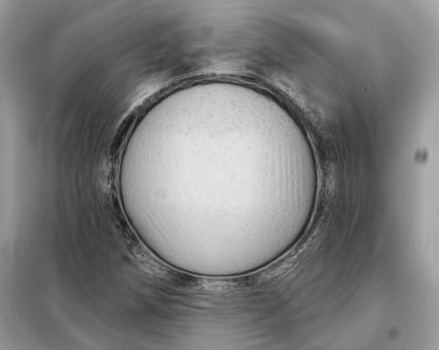 X0000098171258200805080953