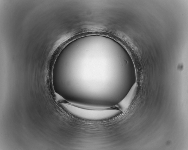 X0000098171261200805080953