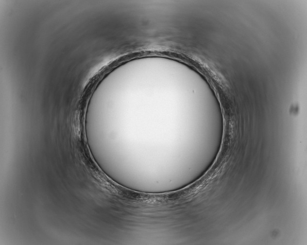 X0000098171262200805080953