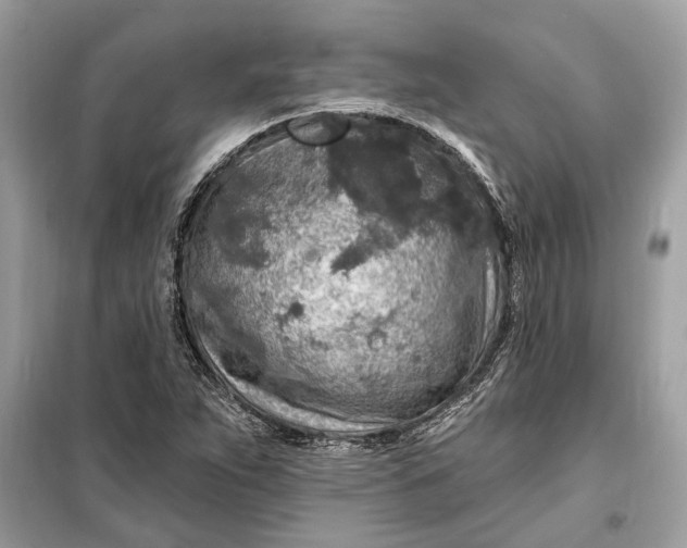 X0000098171263200805080953