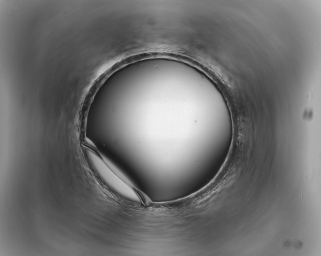 X0000098171264200805080953