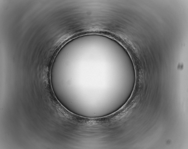 X0000098171265200805080953