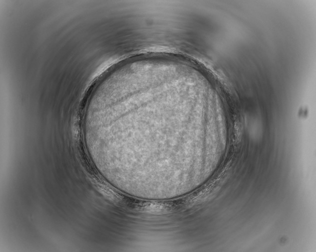 X0000098171266200805080953