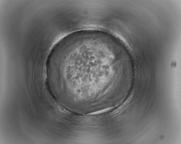 X0000098171267200805080953