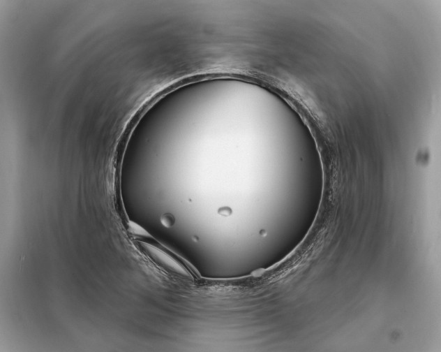 X0000098171268200805080953