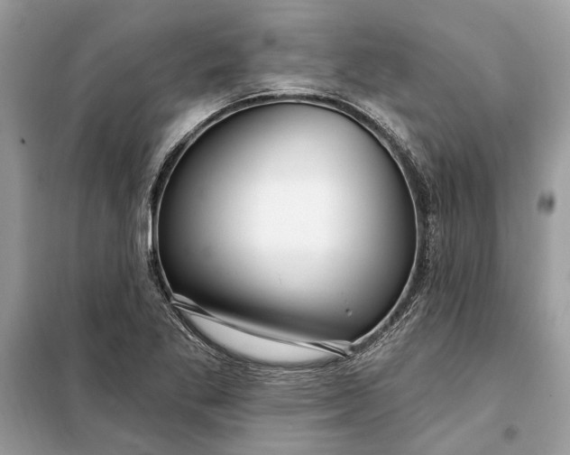 X0000098171269200805080953