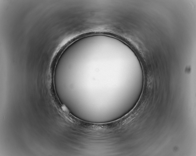 X0000098171270200805080952