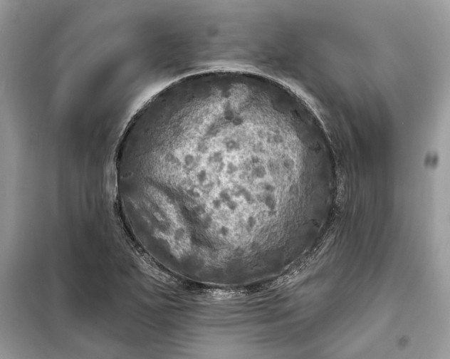 X0000098171271200805080952