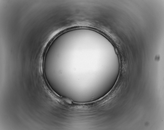 X0000098171272200805080952